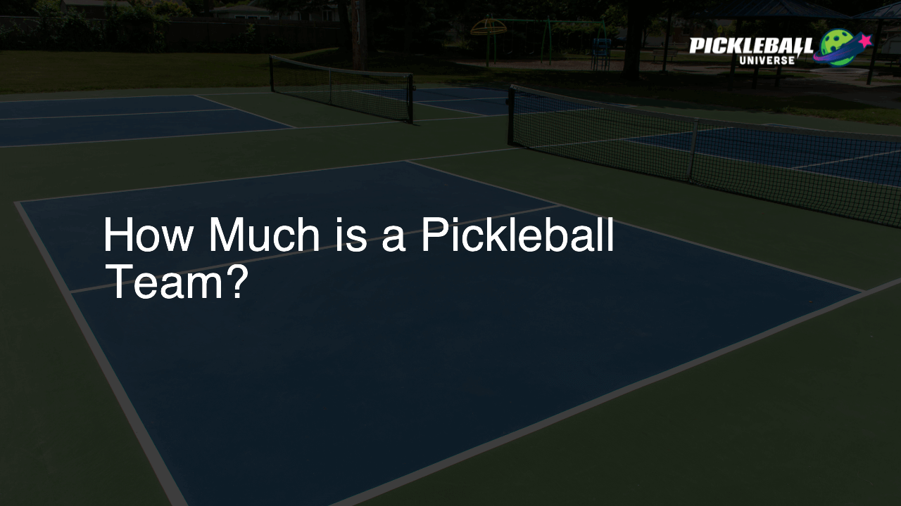 How Much is a Pickleball Team?
